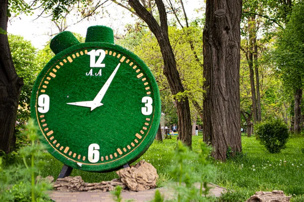 Большие Пейзажные Часы Парке — стоковое фото