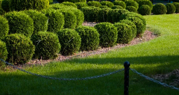 stock image beautiful view of the park