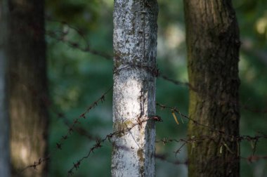 Dikenli tel çit kapatın