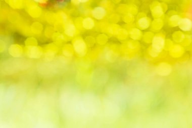 Bulanık sarı parlak parlak noktalar arka planda. Noel ve yeni yıl tatili veya yaz doğası