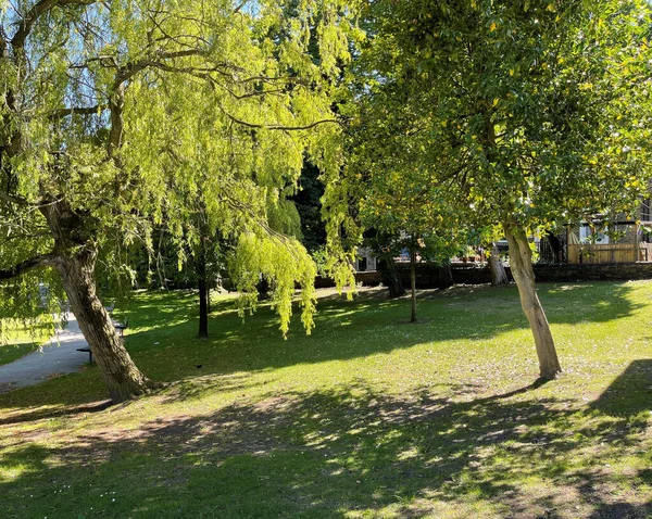Sommernachmittag Pudsey Park Mit Alten Bäumen Und Kaputtem Sonnenlicht Pudsey — Stockfoto