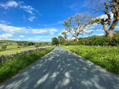 Skipton 'dan Grassington yoluna, eski ağaçlar, yabani bitkiler ve tarlalarla, Cracoe, Skipton yakınlarındaki bir yaz gününde