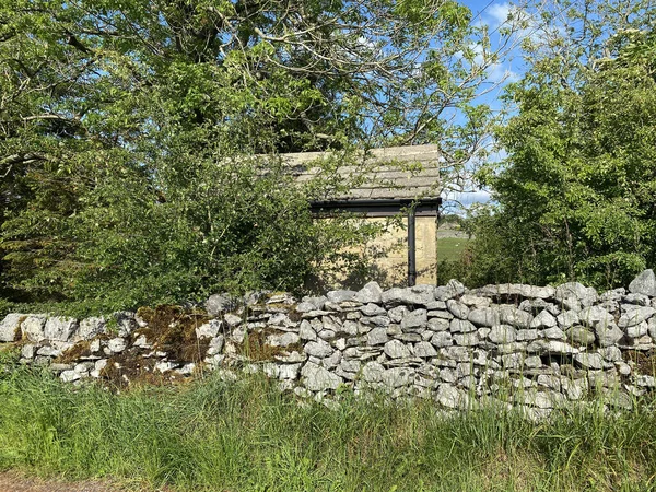 Erbe Selvatiche Muro Secco Yorkshire Con Alberi Secolari Piccolo Edificio — Foto Stock