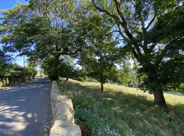 Gespaltener Blick Über Eine Trockenmauer Lane End Mit Alten Bäumen — Stockfoto