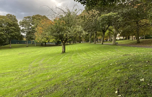 イギリスのブラッドフォードのリスター パークまでの距離にあるテニスコートのある古い木のあるパークランドと傾斜した芝の銀行 — ストック写真