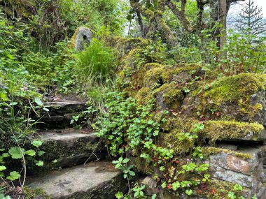 Kırsal bir yol, eski adımlar, yosunlu bir duvar, yabani bitkiler ve taştan bir delik, Shelf, Bradford, İngiltere