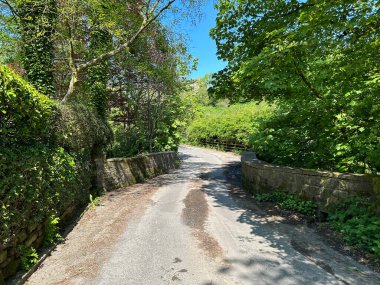Manorley Lane 'e bakıyorum, eski bir köprü, büyük ağaçlar, ve parlak mavi bir gökyüzü, bir bahar günü, Shelf, Halifax, İngiltere' de. 