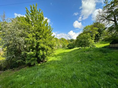 Kırsal alan, eğimli alanlar, eski ağaçlar ve parçalanmış bulutlar, Norwood Green, Halifax, İngiltere yakınlarındaki bir bahar gününde.