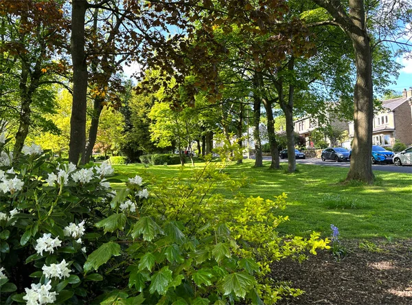 Parkland, Park Yolu 'nun kenarında, çiçekler, eski ağaçlar ve İngiltere' deki evler, Low Moor, Bradford, İngiltere