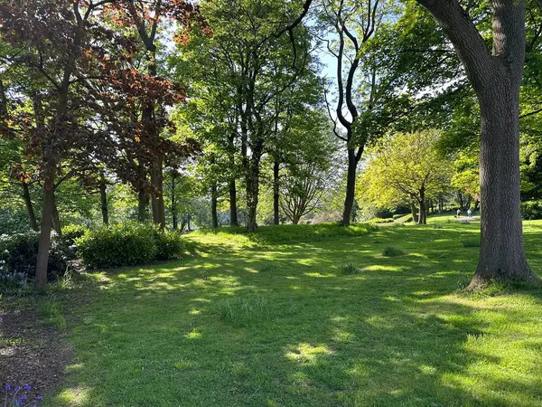 Landschaft Harold Park Mit Alten Bäumen Grasland Und Büschen Einem — Stockfoto