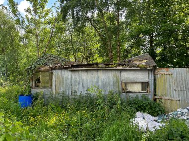 Halifax Eski Yolu, Hipperholme, Halifax, İngiltere 'nin hemen yanındaki bir bahar günü, yabani bitkiler ve ağaçlarla çevrili terk edilmiş eski bir baraka.