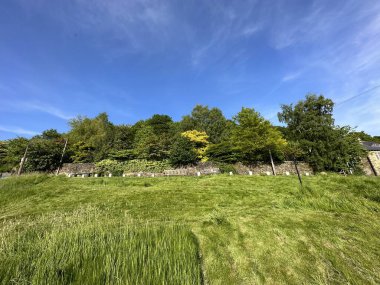 Yukarıya doğru bakan, yeşilin dibinden Micklethwaite, Bingley, İngiltere