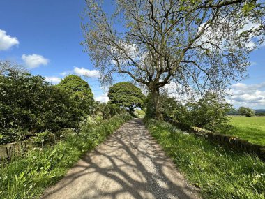 Coley Old Lane 'i seyret, vahşi bitkiler, kuru taş duvarlar, eski ağaçlar, ve Coley, Halifax, İngiltere' de kırık güneş ışığı.