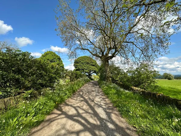 Blick Entlang Coley Old Lane Mit Wildpflanzen Trockenmauern Alten Bäumen — Stockfoto