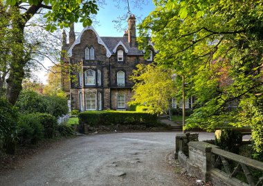 Manningham Lane, Bradford, İngiltere 'ye yakın, eski ağaç ve çalıları olan Victoria dönemi taşlı evler.