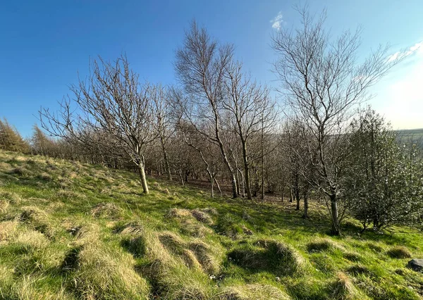 英国科尔纳特拉华登冬季的斜坡沼泽地景观 — 图库照片
