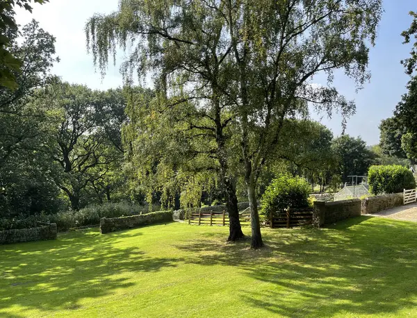 Blick Auf Den Ländlichen Raum Mit Großen Rasenflächen Alten Bäumen — Stockfoto