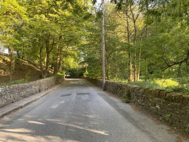 Gece geç saatlerde, Whiskers Lane 'de, kurumuş taş duvarlar, yabani bitkiler ve İngiltere' de Shibden Vadisi, Halifax, İngiltere