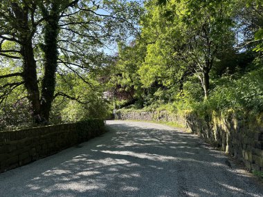 Aşağıya bak, Lumbutts Lane, taş duvarlar, yabani bitkiler ve yaşlı ağaçlarla, güneşli bir günde, Todmorden, İngiltere