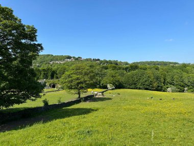 Geniş kırsal alan, tarlaların ötesine, kuru taş duvarlara, evlere ve Halifax, İngiltere yakınlarındaki bir ormana bakıyor.