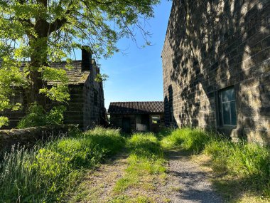 Mankinholes Bank, Todmorden, İngiltere 'de yabani bitkiler, ağaçlar ve mavi gökyüzü olan iki eski çiftlik evi arasında akşam manzarası