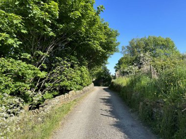 Cliffe Lane, kuru taş duvarlar, çiftlik binası, yabani bitkiler ve ağaçlarla kaplı, Thornton, Bradford, İngiltere 'de mavi gökyüzüne karşı kurulmuş.