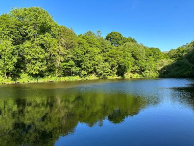 Ağaçlık arazi ve yabani bitkilerle çevrili küçük bir göl yakınlarda canlı bir mavi gökyüzüne karşı kurulmuş Cause Wood Road, Lumbutts, Todmorden, İngiltere 