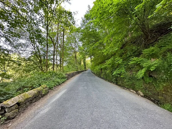 stock image View along, Causeway Wood Road, with old trees, wild plants, and stone walls in, Lumbutts, Todmorden, UK 
