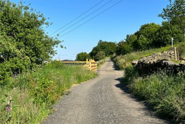 Kırsal yol, yabani çiçekler, bitkiler ve kuru taş duvarlarla, Cliffe Lane, Thornton, İngiltere