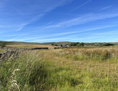 Yaz sonu öğleden sonra, kırlık arazide vahşi çimenler, taş duvarlar ve uzak tepeler, Slaidburn, Clitheroe, İngiltere