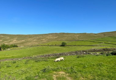 Lumbutts, Todmorden, İngiltere yakınlarındaki tepelerde tarlaları, koyunları ve bozkırları olan kırsal alan.