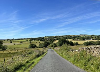 Lancashire kırsalının Smalden Lane 'inden panoramik manzara, kuru taş duvarlar, yabani bitkiler, tarlalar ve tepeler, Grindleton, İngiltere