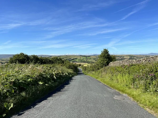 Vahşi bitkiler, kurumuş taş duvarlar, uzak tarlalar ve tepeler, Smalden Lane, Grindleton, İngiltere 'de mavi bir gökyüzüne karşı kurulmuş manzara.