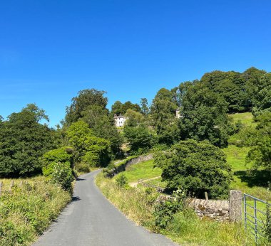 Small landscape, with dry stone walls, fields, old trees, and houses, set against a vivid blue sky in, Grindleton, Clitheroe, UK
