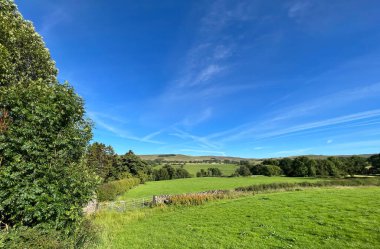 Köy manzarası, eski ağaçlar, kurumuş taş duvarlar, ve uzak tepeler, Back Lane, Newton, İngiltere