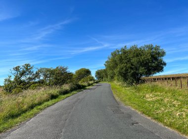 Clitheroe 'den Skipton yoluna bakın. Yaban bitkileri, tarlalar ve civardaki eski rüzgârlı ağaçlar Slaiburn., 