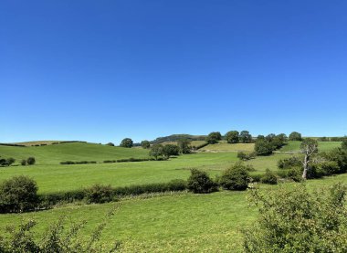 Yorkshire manzarası, tarlaları, eski ağaçları ve Stirton, Skipton, İngiltere yakınlarındaki uzak tepeleri ile 