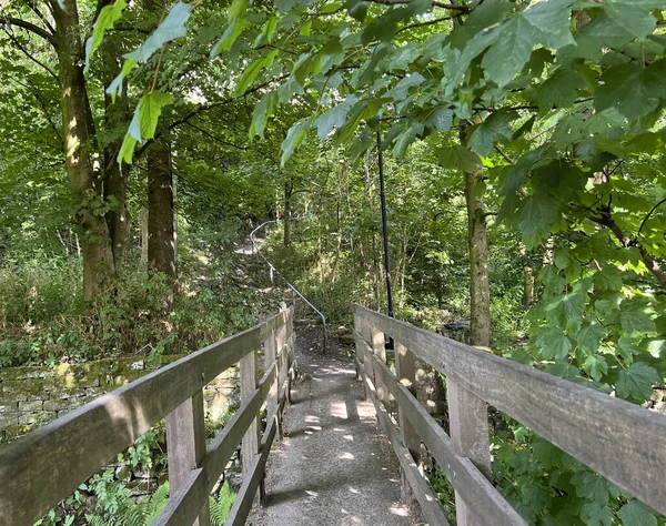 Schmaler Fußweg Der Über Eine Brücke Einem Kleinen Waldgebiet Der — Stockfoto