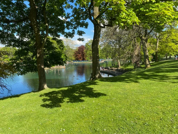Schräges Grasbewachsenes Ufer Mit Einem Großen Bootssee Alten Bäumen Und — Stockfoto