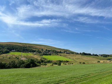 Delph Yolu manzaralı, yabani bitkiler, taş duvarlar, ve uzak tepeler, Denshaw, İngiltere