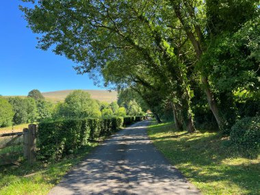 Kırsal şerit, çitli, eski ağaçlı ve tepeli, mavi gökyüzüne yakın, Crow Trees Brow, Chatburn, İngiltere