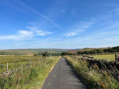 Slack Lane boyunca, kurumuş taş duvarlar, yabani bitkiler, tarlalar ve uzak tepeler, Linfitts, Oldham, İngiltere