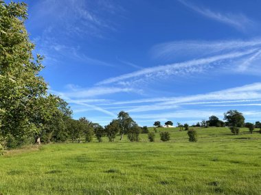 Bereketli yeşil manzara, eski ağaçlar, ve yakında puslu mavi bir gökyüzü, Gisburn, İngiltere