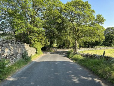 Aysgarth, İngiltere yakınlarındaki güneşli bir günde, eski ağaçlar, kuru taş duvarlar ve tarlalarla Westholme Bankası 'na bakın.