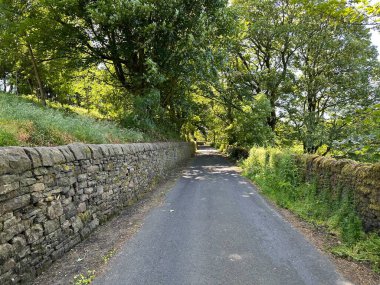 Kırsal alan, Windsor Terrace, kuru taş duvarlar, yabani bitkiler, ve eski ağaçlar, Sowerby Köprüsü, İngiltere