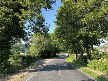 Kuzey Yorkshire kırsal alanı, Bishopdale Lane boyunca bakıyor, eski ağaçlar, vahşi bitkiler ve alanlar, Hawes, İngiltere