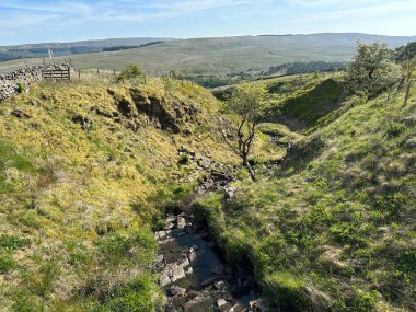 Yorkshire Dales manzarası, derin bir dere, eski ağaçlar, bir dere, kayalar ve Oughtershaw, İngiltere 'deki uzak tepeler.