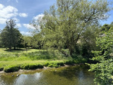 Kırsal kesimde, nehir havasına bakarken, eski ağaçlar ve tarlalar, Gargrave, İngiltere 'ye doğru ilerliyor.