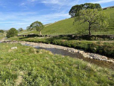 Yorkshire Dales manzarası, River Wharfe 'ın başlangıcıyla, İngiltere' deki Hubberholme 'a doğru düşüyor.