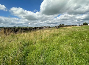 Kırsal alan, uzun yabani otlar, kurumuş taş duvarlar, ve uzak tepeler, yüksek bozkırlar yakınında, Silsden, İngiltere